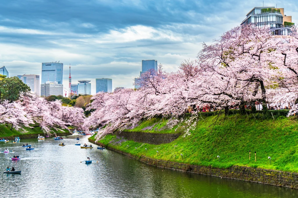Hanami