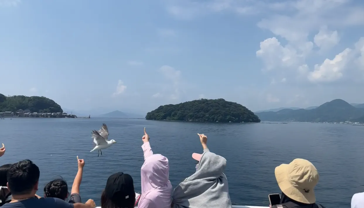 伊根湾めぐり遊覧船